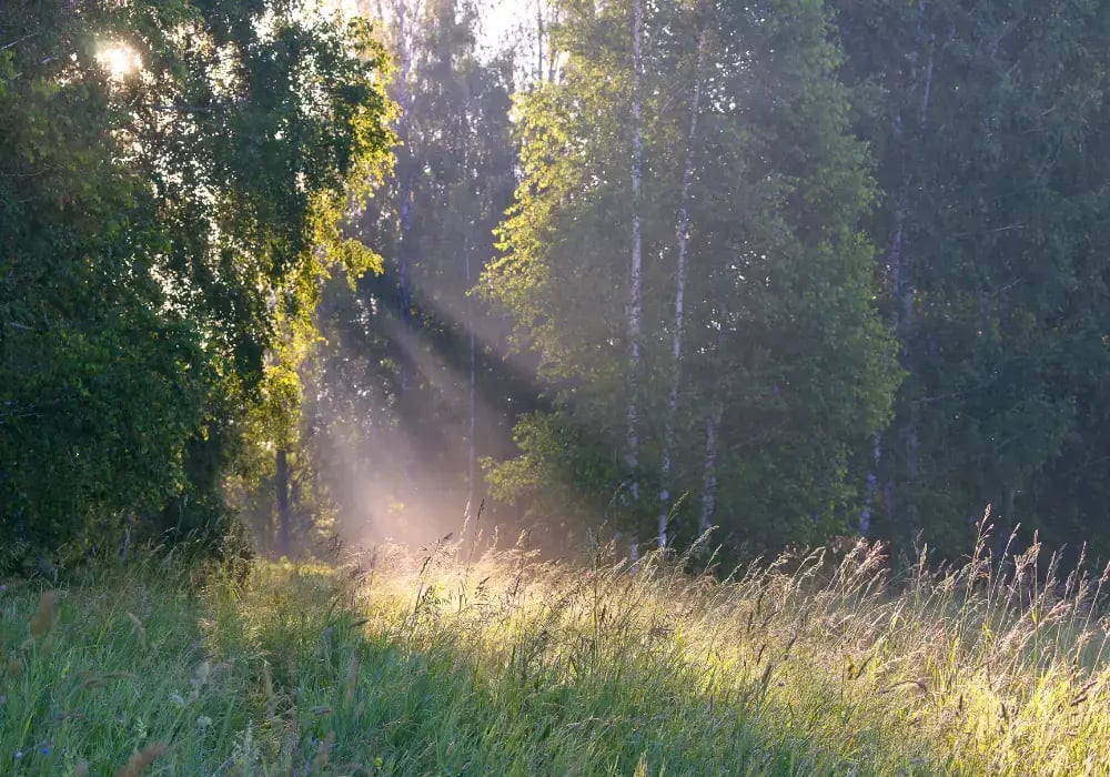Teräsmiehet kesälomalla ja suljettuna 6.-26.7.2026